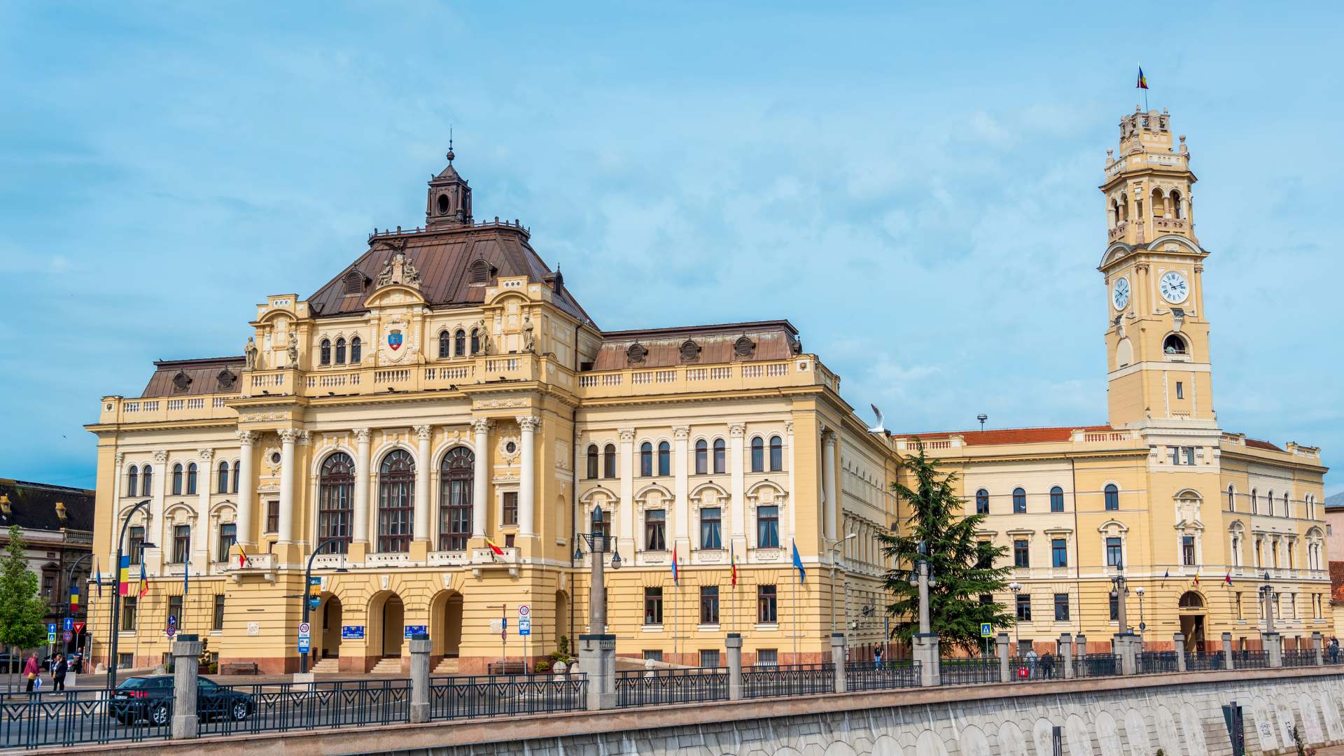 Dacian Foncea - Primaria Oradea